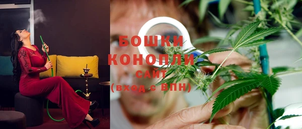 сатива Каменногорск