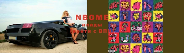 сатива Каменногорск