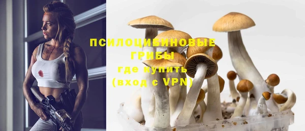 MDMA Каменка