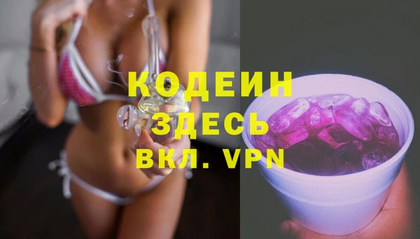 сатива Каменногорск