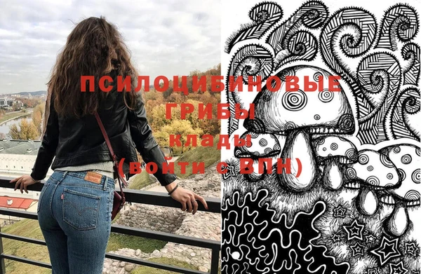 сатива Каменногорск