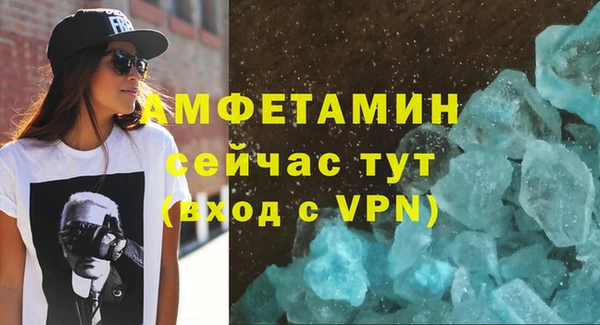 сатива Каменногорск