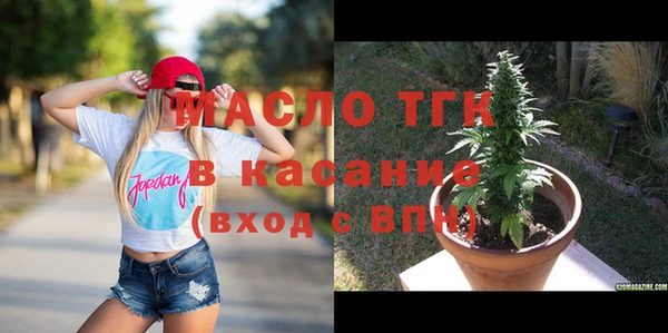 сатива Каменногорск