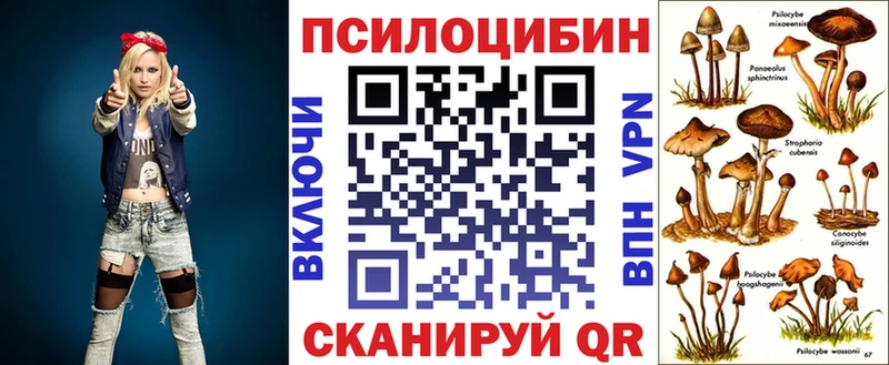 Галлюциногенные грибы мицелий  Купить  Заводоуковск 